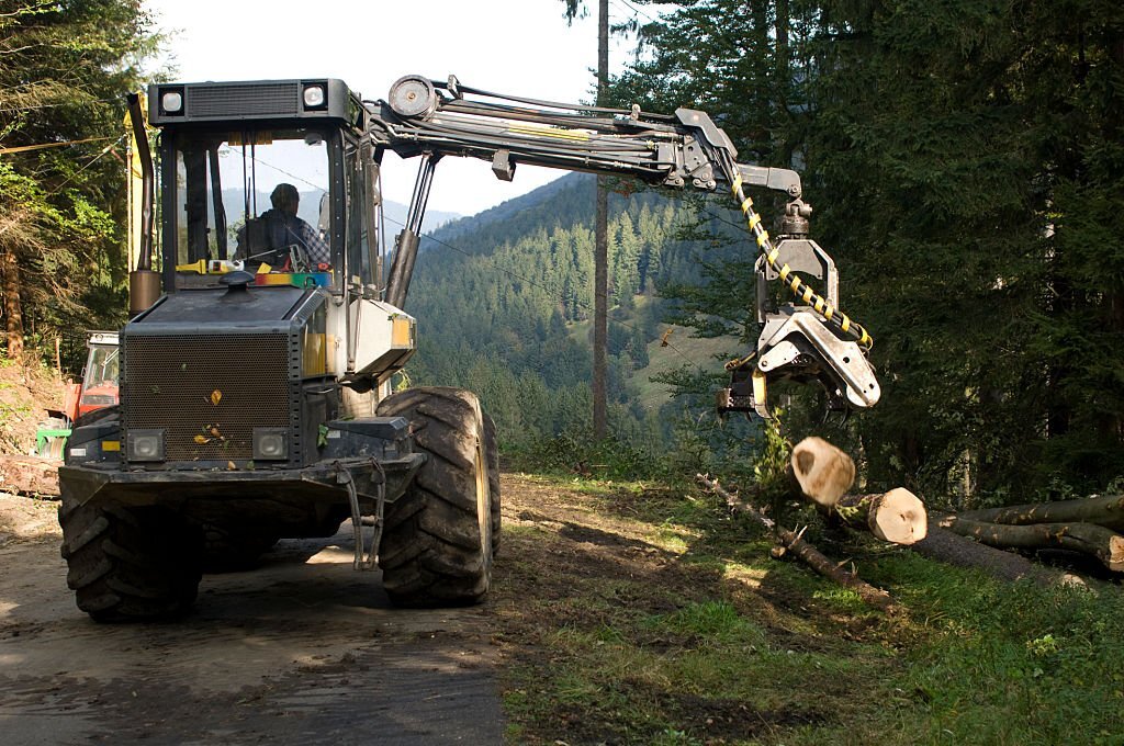 Operating Logging Equipment: Training and Certifications for Safe and Efficient Practices