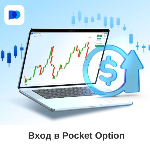 Все, что Вам нужно знать о Pocket Option Trader